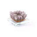 Kandly Purple Candle Holder Purple